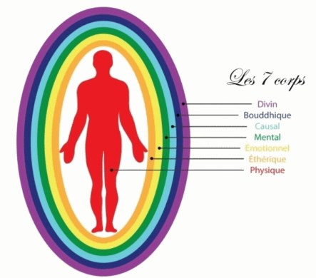 les 7 corps image mo2detente.com .jpg